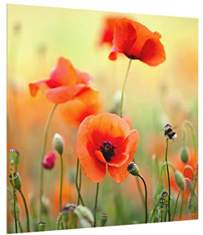 Fond de hotte en verre magnétique épaisseur 4mm fleurs crédence cuisine coquelicot verre trempé panneau mural vert tableau magnétique motif cuisine cuisinière 1973 (60x59cm)