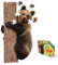 Madd Capp 884003 Shape Puzzle Junior Bär, Konturpuzzle 100 Teile, für Kinder und Erwachsene