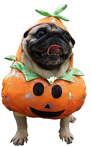 Tonsee Accessoire Hundemantel wasserdicht 2023 lustiges Haustier-Katze-Hunde-Halloween-Kürbis-Kostüm, Stand-Up-Goofy-Kleidung mit Hut Haustierkleidung Für Kleine Hundejunge (Yellow, L)