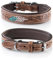 Jack & Russell Unikat Hundehalsband aus Leder, Hand-geschnitzt, gepolstert, Mehrfarbig – Halsband aus Büffelleder, Hunde Lederhalsband Chloe (M/31,5-40)