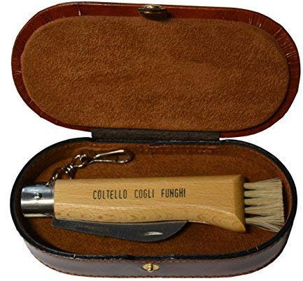 Gifaz Couteau pour champignons, chasse et pêche, en bois de hêtre, dans un coffret de cuir