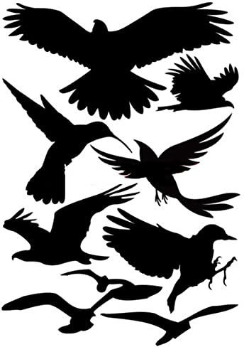 Autocollant décoratif 3D pour voiture - Décoration de carrosserie - Oiseaux - Carrosserie - Autocollant à gratter - Autocollant pour fenêtre de voiture - Protection contre les oiseaux