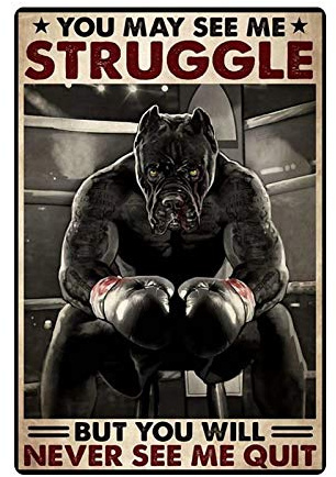 Boxen Pitbull Blechschild Vintage You May See Me Strucgle But You Will Never See Me Quit Metallposter Retro Plakette Wanddekoration Geschenk für Garten Männer Höhle Garage Bibliothek Wohnzimmer Schule