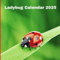 Ladybug Calendar 2025