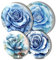 Walarky Blue Rose Stove Burner Covers, Gas Stove Burner Covers Set of 4, 8 and 10 Inches Stove Top Covers for Electric Stove Metal Stove Cover Gas Stove Top Covers, Cooktop Decorative, Kitchen Decor