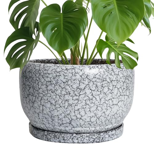 SQOWL Keramik-Pflanzgefäße – 25,4 cm Keramik-Blumentopf mit Ablaufloch und Untersetzer, dekorativer Blumentopf für den Innenbereich, runder großer Übertopf für den Außenbereich, Badezimmer-Dekor
