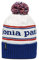 Patagonia Herren Powder Town Beanie, Park-streifen: Viking Blau, Einheitsgröße EU