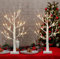 MOSII Set of 2 Birch Twig Tree with Lights for Tabletop Decorations 60cm/2FT, 24 Warm White LEDs Birch Tree Battery Operated for Home Party Wedding Easter Christmas Table Centrepiece