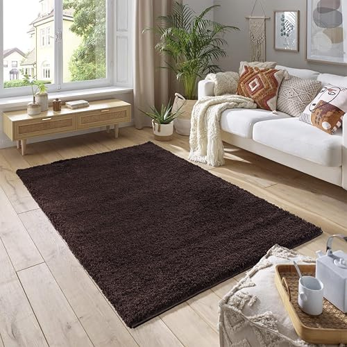 SmartLiving Rugs Living Room 80x150 cm, Brown Area Rugs for Bedroom, Non Slip Carpet Rug, Non Shedding Floor Mat, Modern Super Soft Carpets Fluffy Shaggy Rug for Lounge, Dining Room, Bedroom