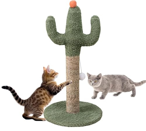 Cat Tree Kaktus, Kaktus, Katzenbaum, Kratzbaum mit grünem Kaktus, stabiler Sisal-Kratzbaum, mit interaktiver Kugel für kleine Kätzchen