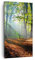 Bilder auf Leinwand Wald Blätter Sonne Leinwandbild mit Rahmen 45x80cm Wandbilder Dekoration Wohnzimmer Schlafzimmer Küche Deko Klein Wanddeko Bild Wand Kunstdruck Art Wall Decor Canvas PA45x80-0136