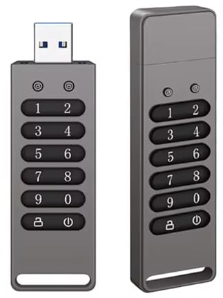 Encrypted USB Flash Drive - USB 3.0 Hardware Encryption with Reset, Wipe, Auto Lock - Compatible with Mac, Windows, Linux - 256GB