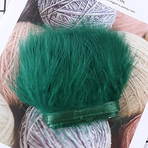 TTBDAN Plumas de marabú de Colores teñidas de 1 Metro, Adornos de Flecos para Ropa, decoración de Costura, 8-10 CM, Cinta de Plumas Suaves para Manualidades, Pluma