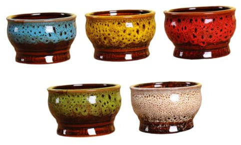 Toyvian 5piezas Macetas Decorativas para Suculentas Cactus y Flores Cerámica Duradera