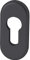 FSB 0 17 1757 00010 0810 Profilzylinder Rosette PZ oval, Zylinderrosette 32,5x70x7mm, Aluminium schwarz matt, Silber