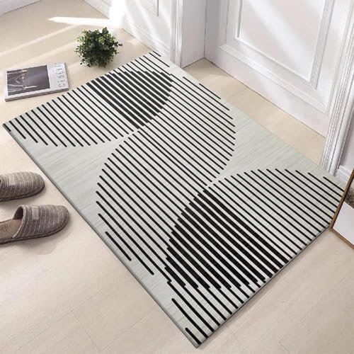Hafaa Door Mat Indoor & Outdoor - Non Slip Heavy Duty Doormats - Stylish & Printed Doormat - Perfect Dust Grabbing Shoes Scrapper Floor Door Mats (Jett, 40cm x 60cm)