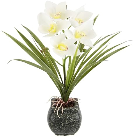 Künstliche Cymbidium-Orchidee 40cm mit Blätter und Luftwurzeln im Topf aus Keramik Blume Kunstorchidee Orchidee Phalaenopsis mit Übertopf Kunstpflanze Hochzeit Deko Seidenblume Real Blüte, creme
