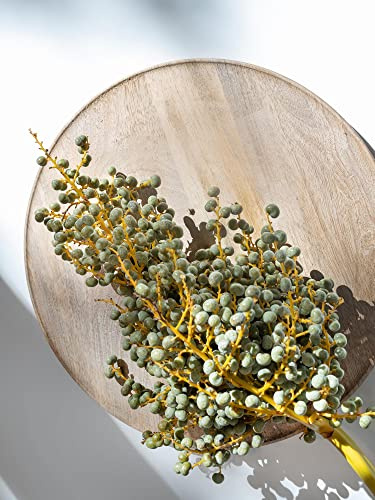 Blumigo Dattelzweig - Frischer Zweig - ca. 30 cm - Schnittblumen Stiel für die Vase - Echter Stiel - Dattelzweige zur Dekoration oder Hochzeit - Greenery - Natur