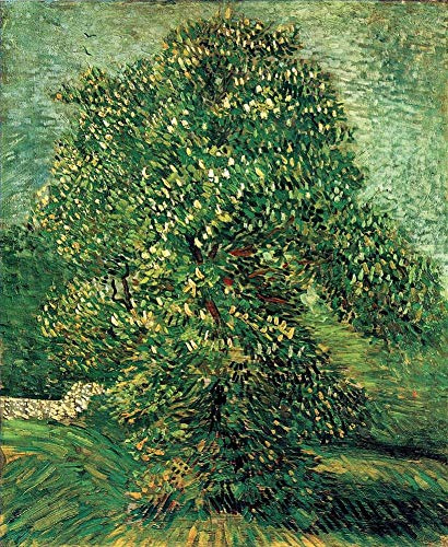 7 pinturas famosas – Castaño en flor 2 Vincent van Gogh – Arte al óleo hecho a mano sobre lienzo -07, £70-£1500 pintado a mano por profesores de Academias de Arte