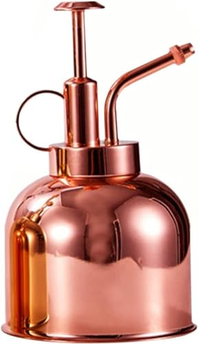 Plant Mister-Sprühflasche, 1 Stück, Edelstahl-Gießkanne, Bonsai-Pflanze, Mini-Sprühflasche, Terrarium-Werkzeuge, Pflanzen-Gießkanne, Gießflasche, Topf-Gießkanne, Pflanzen-Sprühflasche, Vintage-Pflanze
