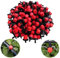 Kalolary 100 Pcs Micro Goteo Riego Rociadores, Plástico Ajustable Emisor gotero Sistema de riego Ajustable 1/4'' Pulgada con Micro Goteo Antiobstrucción Color Rojo
