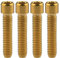 Ruifu M4 x 10 13,5 15 20 25 mm kleine Innensechskantschraube Fahrrad Hinter-/Umwerfer H/L Einstellschrauben 4 Stück (M4 x 25 mm, Gold)