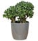 botle Blumentopf Pflanzkübel Pflanzgefäß Übertopf Kunststoff Glanz Rund Grau D 300 mm H 265 mm