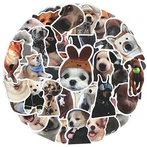 cobee Lustiges Katzen Aufkleber Set, 50 Stück, süße Katzen Aufkleber wasserfeste Vinyl Aufkleber ästhetische Aufkleber für Katzenliebhaber Wasserflaschen Sammelalbum Telefon (Hundeform)