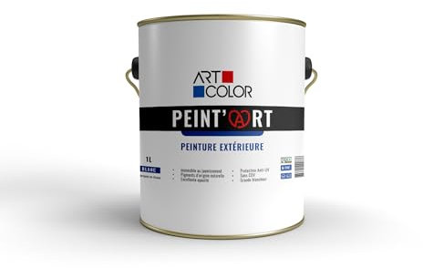 Peint’Art – peinture extérieure blanche | 1l