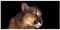 XXL Wandbild 115x55cm Löwe Lion Löwin Bild Leinwandbild Katze Deko Wanddeko Kunst