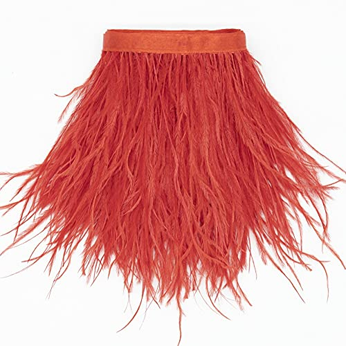 Straußenfedern, 1,83 m – zum Basteln, Nähen, Kleidung, Handwerk, Kostüme, Karneval, Halloween, Handwerk, Dekoration (Rot)