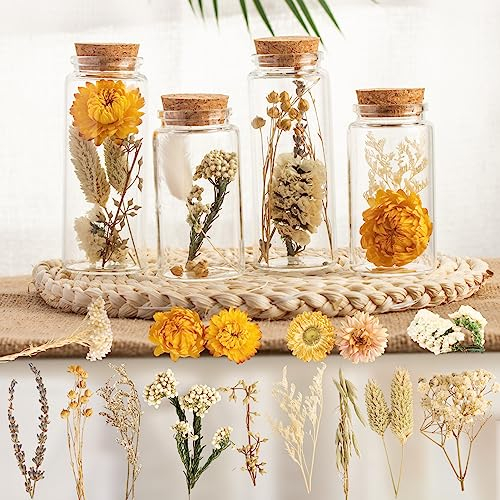 LAUMOE 4er Set Trockenblumen im Glas, Trockenblumen, Trockenblumen Deko, Reagenzgläser für Blumen Deko Beige Deko Fensterbank Getrocknete Blumen Boho Deko für Sommer Deko Innen
