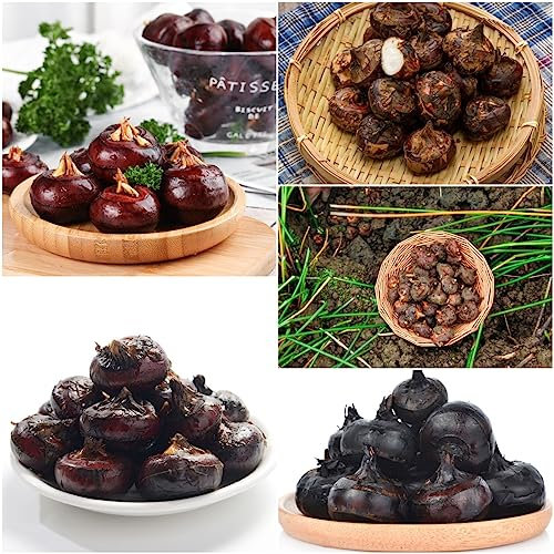 200 pcs Wasserkastanien samen - deko pflanzen exotische gemüsepflanzen exotische früchte dekopflanzen deko wohnzimmer modern wintergemüse säulenobst winterfeste pflanzen für balkon