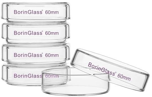 BorinGlass Glas-Petrischalen mit Deckel, 5er-Pack, Hochborosilikatglas, Klare Kulturschalen, Labor-Petrischalen, Außendurchmesser 60 mm