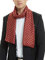 WANYING Herrenschal Dünn für Herbst Frühjahr aus Kunstseide Viskose Casual Business Gentlemen 30 * 170cm - Welle Kariert Bordeaux Rot