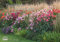 Kal. 2024 Traumhafte Gartenbeete