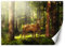Feeby Wandtapete Fototapete Vlies Tier Hirsche Im Wald 250x175 cm Grün Modern Tapete Wohnzimmer Schlafzimmer Bäume Sonnenschein
