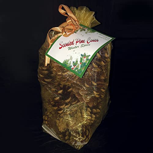 The Milford Collection Scented Pine Cones Gold Organza Bag - Winter Spice 500g