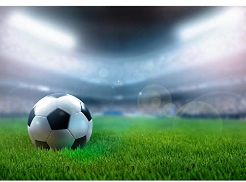 Runa Art Fototapete Fussball Stadion 352 x 250 cm Vlies Tapeten XXL Moderne Wandtapete Wohnzimmer Schlafzimmer Blau Grün 9050011b
