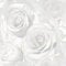 SOPHIE LAURENCE Floral Bloom Glitter Detail Roses Wallpaper (Full Roll, White)