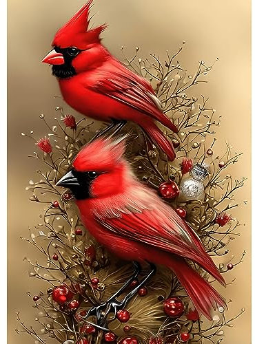 RICUVED Weihnachten Diamond Painting Erwachsene, 5D Kardinal Diamant Painting Bilder Erwachsene, DIY Diamond Painting Bilder Weihnachten Diamant Malerei Set für Wanddekoration 30x40cm