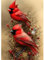 RICUVED Weihnachten Diamond Painting Erwachsene, 5D Kardinal Diamant Painting Bilder Erwachsene, DIY Diamond Painting Bilder Weihnachten Diamant Malerei Set für Wanddekoration 30x40cm