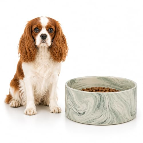 Flamingo Gamelle pour la nourriture et l'eau Baron Vert 450ml – Bol en Plastique Antidérapant | Pour Nourriture ou Eau – Facile à Nettoyer, Idéal pour votre chien !