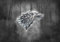 Poster Logo Winter is Coming stark Loup Game of Throne Wall Art 02