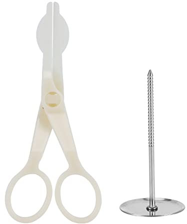 Ensemble De Lève-clou De Fleur De Gâteau, Poussoirs De Fleur D'acier Inoxydable Et Clous De Fleur Pour la Décoration De Fleurs De Glaçage