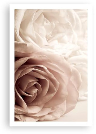 Poster ohne Rahmen Rosen Blumen Romantisch Deko 61x91cm Wandposter Art Prints Wandbilder Dekoration Wohnzimmer Schlafzimmer Küche Wanddeko Bild Wand Kunstdruck Modern Wall Art Decor - P2XPA61x91-5424