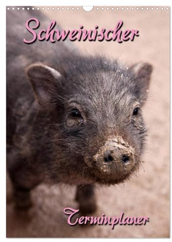 Schweinischer Terminplaner (Wandkalender 2026 DIN A3 hoch), CALVENDO Monatskalender: Terminplaner mit kleinen und großen Schweinen (CALVENDO Tiere)