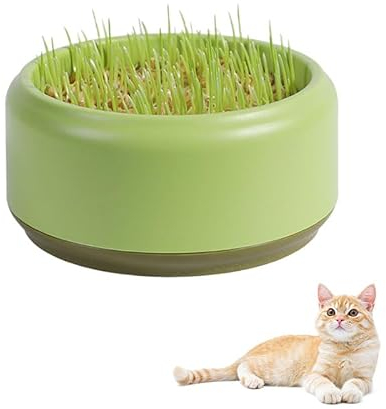 Nexoria Katzengras Pflanzkasten, Katzengras Hydrokultur Pflanzgefäß Kunststoff Katzengras Samen Sprouter Bodenfrei Katzenpflanze Pflanzkasten Katzenpflanze für Innen- oder(ohne Unkraut) (Grün)