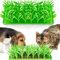 Silicone Grass Mat for Cats, Green Grass Silicone Slow Food Mat, NEW Cat Grass Mat for Indoor Cats, Silicone Grass Snuffle Mat for Cats Dogs