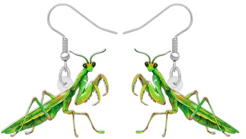 HUAGEO Acryl Niedlich Grün Gottesanbeterin Baumeln Ohrringe Frühling Sommer Insekten Käfer Schmuck Charms Geschenke für Frauen Zubehör